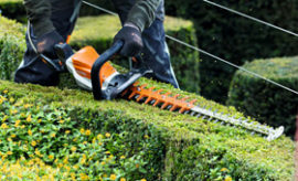 AP Hedge Trimmers